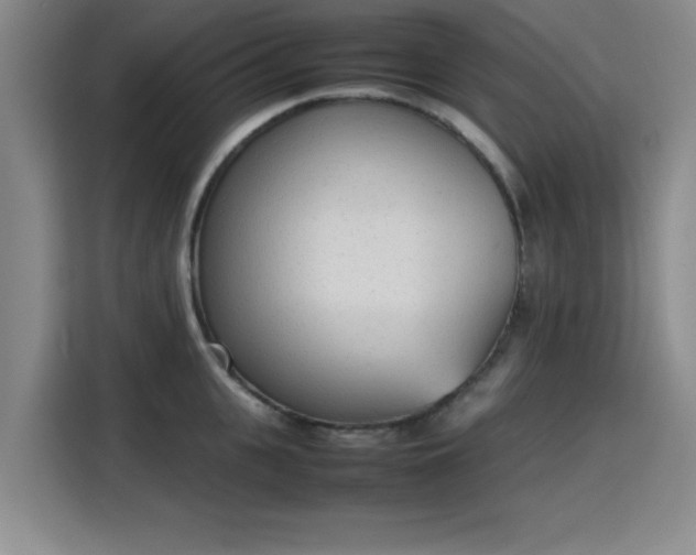 X0000115780951200911201309