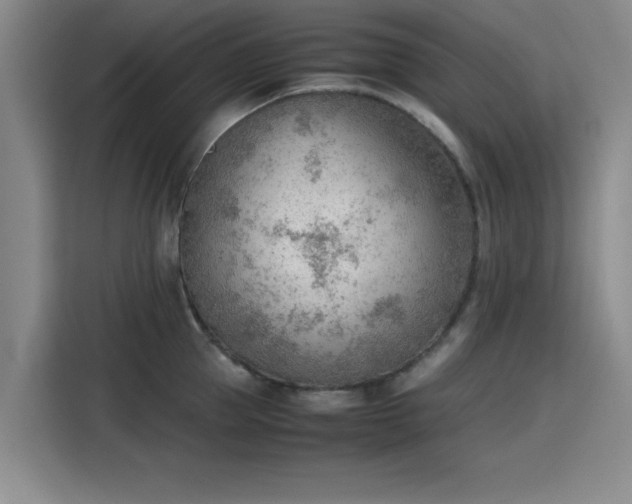 X0000115780953200911201309