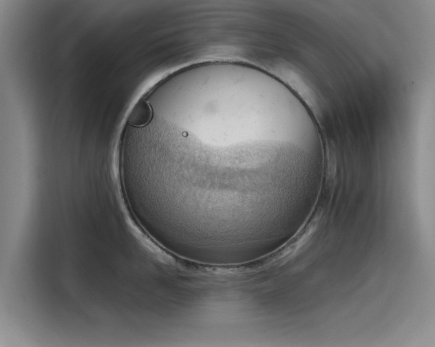 X0000115780958200911201309