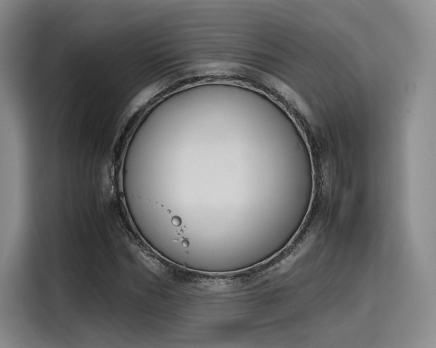 X0000115780970200911201308