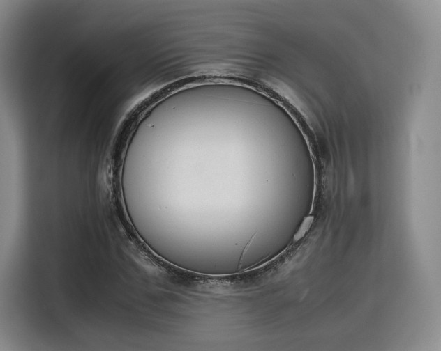 X0000115780971200911201308