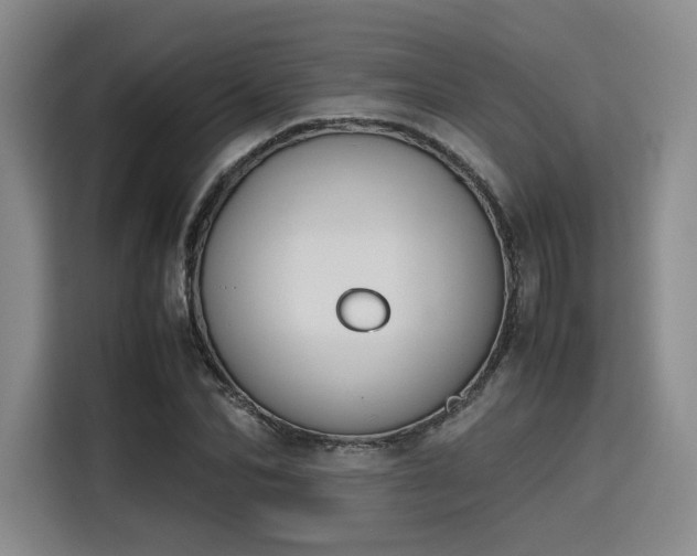 X0000115780974200911201308