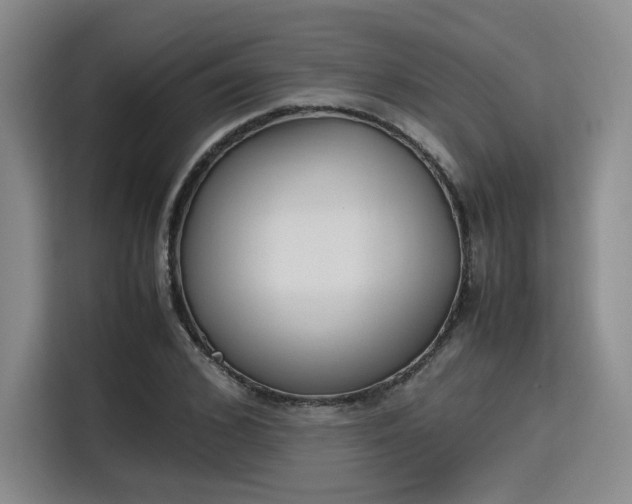X0000115780976200911201308