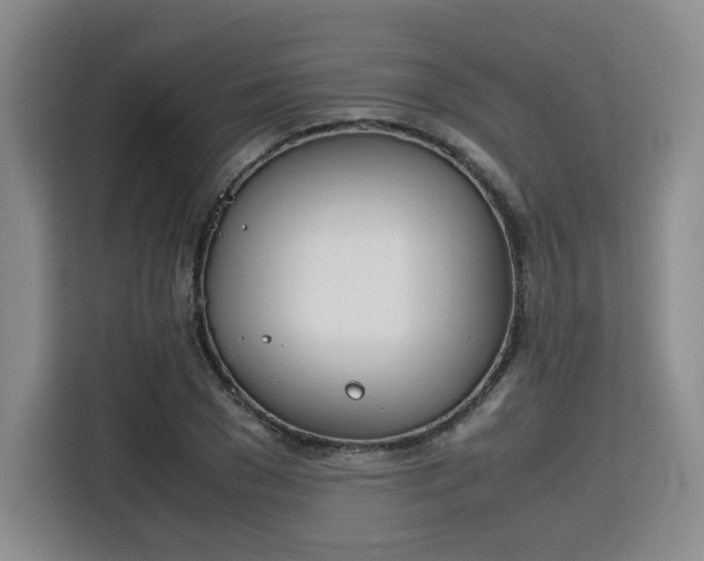X0000115780977200911201308