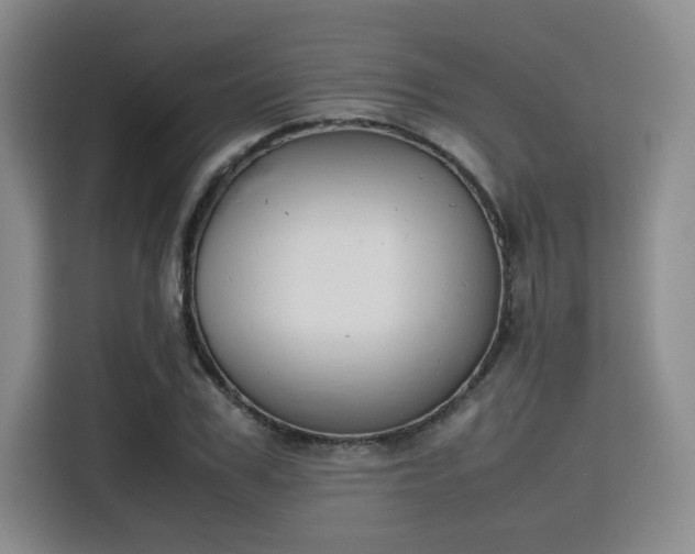 X0000115780979200911201308