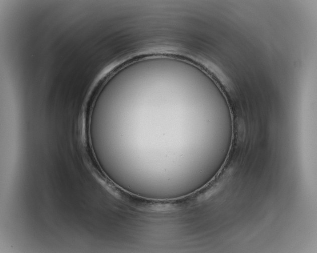 X0000115780982200911201308