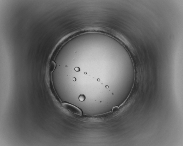 X0000115780984200911201308