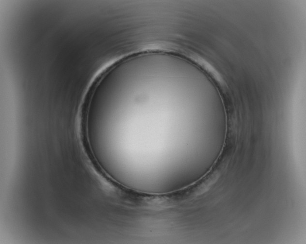 X0000115780991200911201308