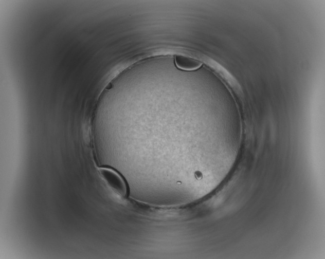 X0000115780993200911201308