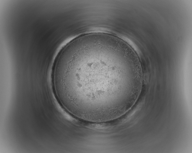X0000115780995200911201308