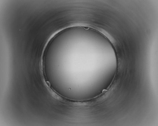 X0000115780996200911201308