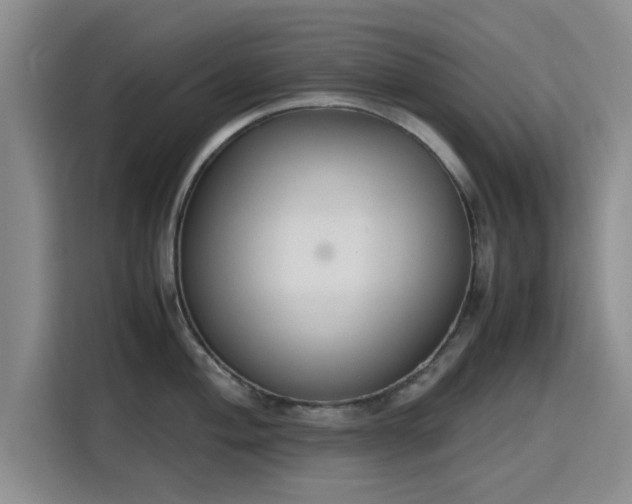 X0000115781004200911201308