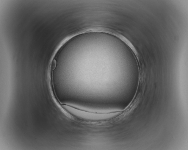 X0000115781005200911201308