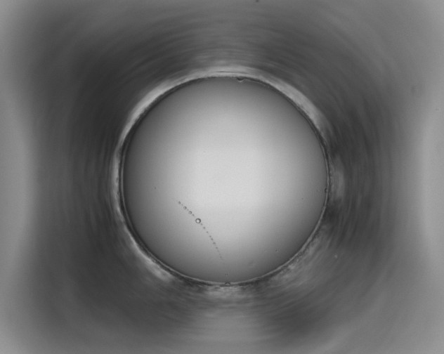 X0000115781006200911201308