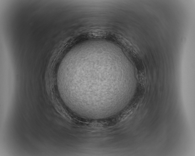 X0000115781009200911201307