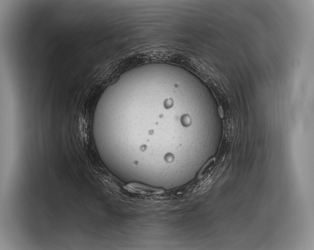 X0000115781010200911201307