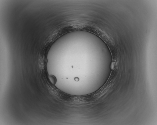X0000115781012200911201307
