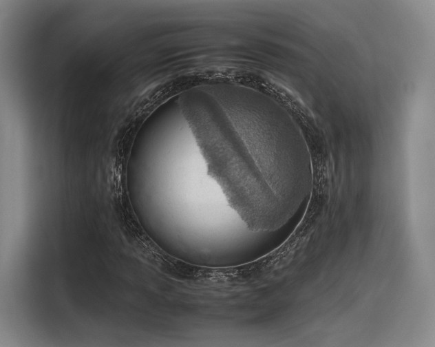 X0000115781013200911201307