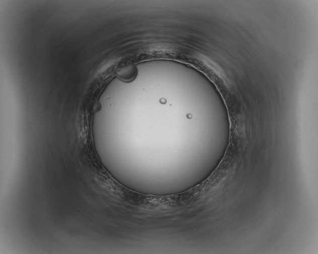 X0000115781015200911201307