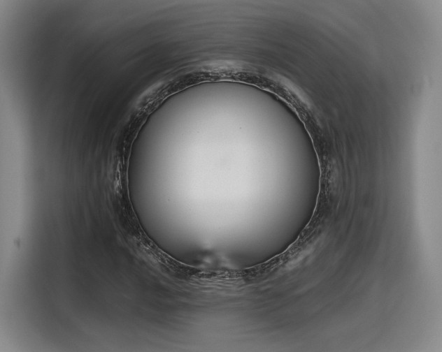 X0000115781016200911201307