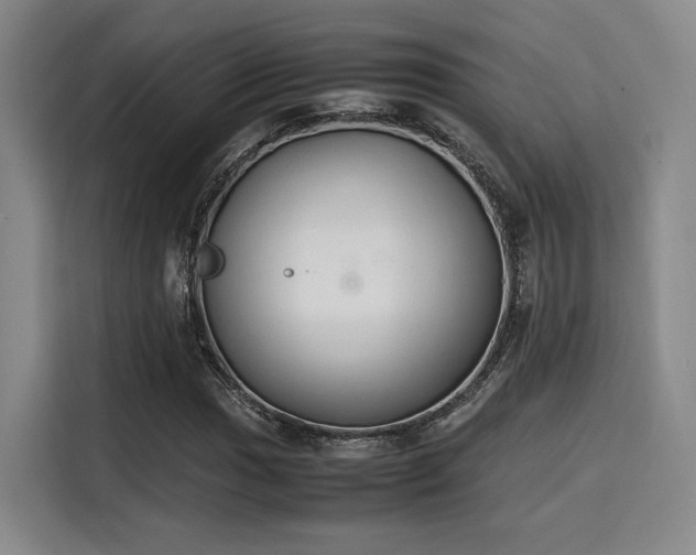 X0000115781017200911201307