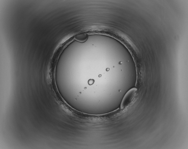 X0000115781018200911201307