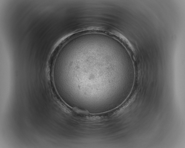 X0000115781019200911201307