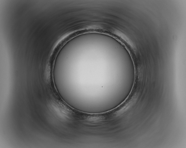 X0000115781021200911201307
