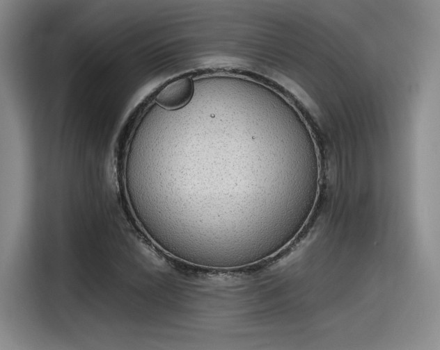 X0000115781022200911201307