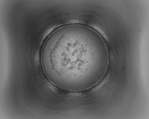 X0000115781023200911201307