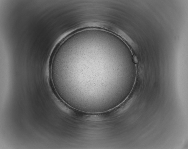 X0000115781028200911201308