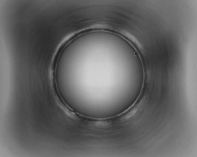 X0000115781029200911201308