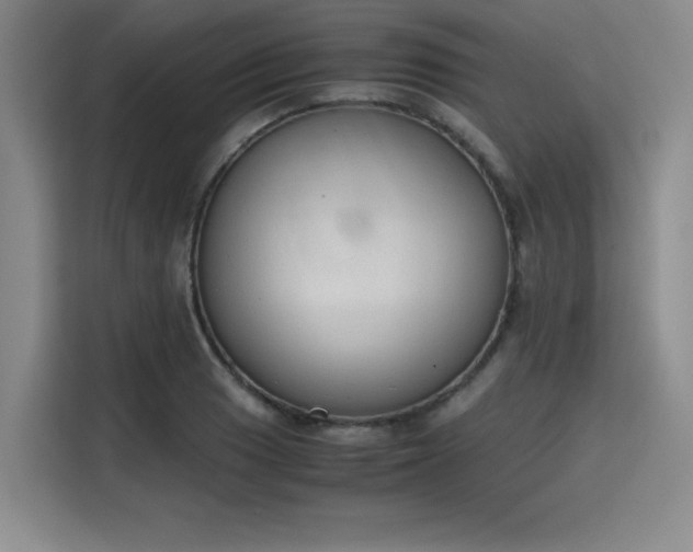 X0000115781033200911201308