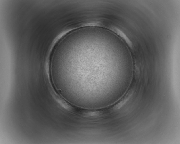 X0000115781035200911201308