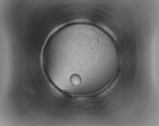 X0000115781037200911201308