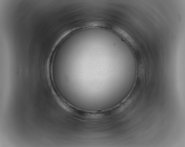 X0000115781039200911201308