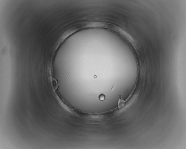 X0000115781041200911201308