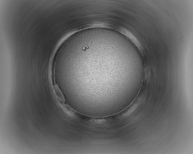 X0000115781043200911201308