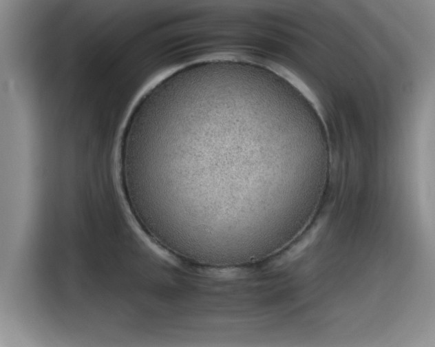 X0000115781045200911201308