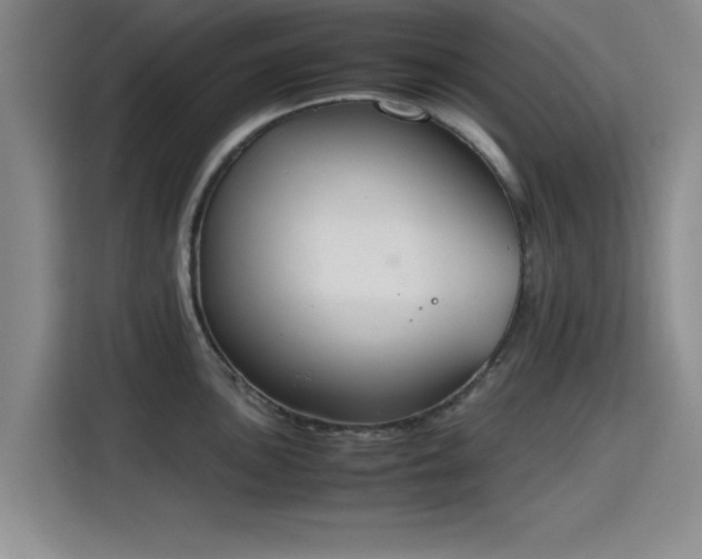 X0000115781051200911201308