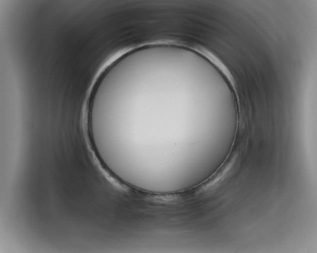 X0000115781053200911201308