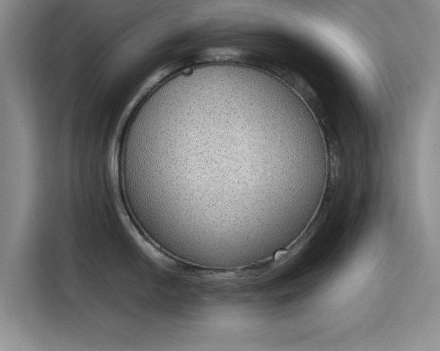 X0000115781054200911201308