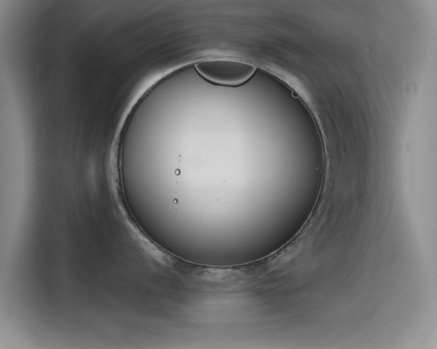 X0000115781056200911201308