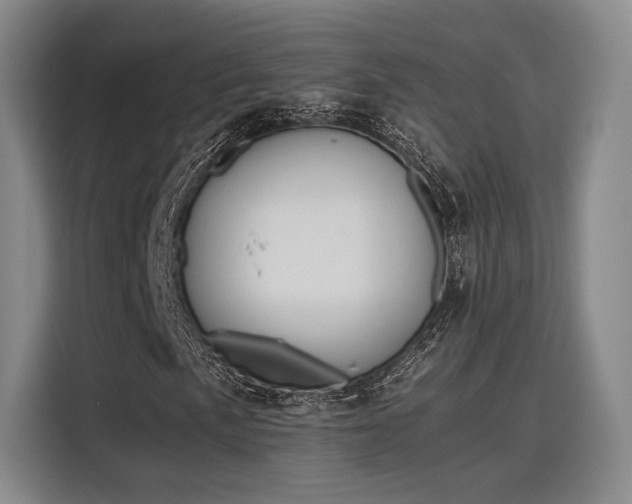 X0000115781057200911201307
