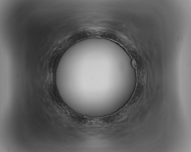 X0000115781061200911201307