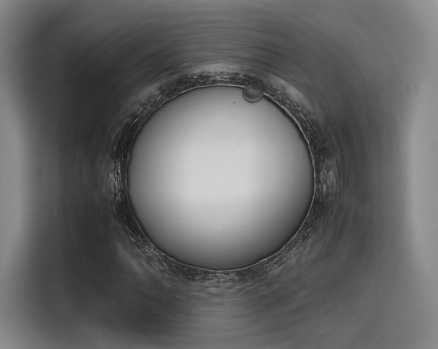 X0000115781062200911201307