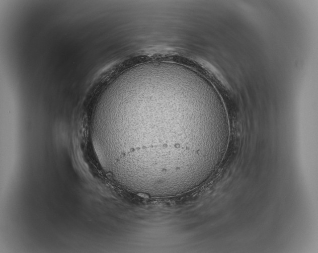 X0000115781063200911201307