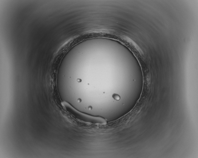 X0000115781064200911201307