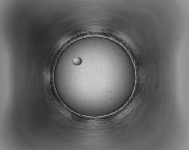 X0000115781065200911201307