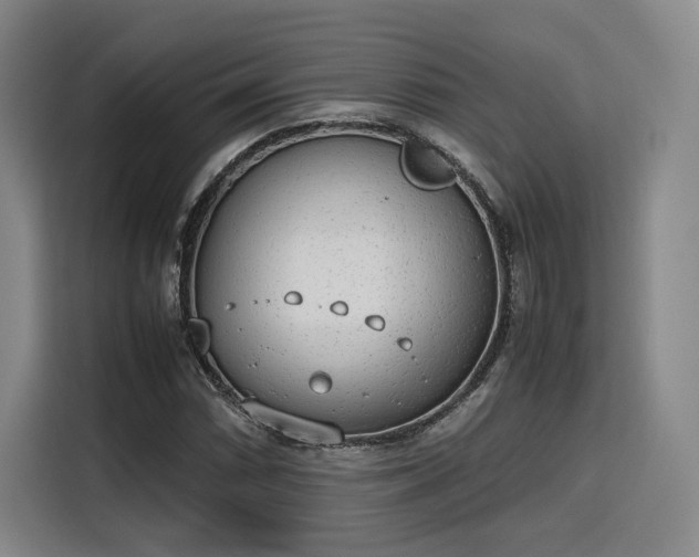 X0000115781066200911201307
